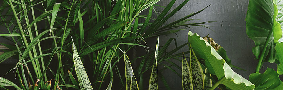 Jubiläumslogo „20 Jahre tme – Software.Lösungen“ auf strukturierter blauer Oberfläche.