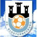 nachwuchsfussball